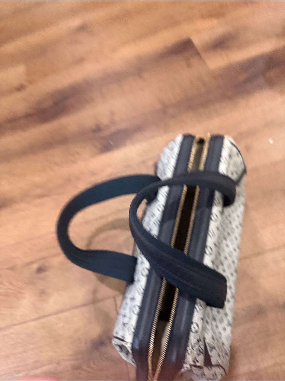 Louis Vuitton Monogram Mini Lin Josephine GM - Picture 6 of 6